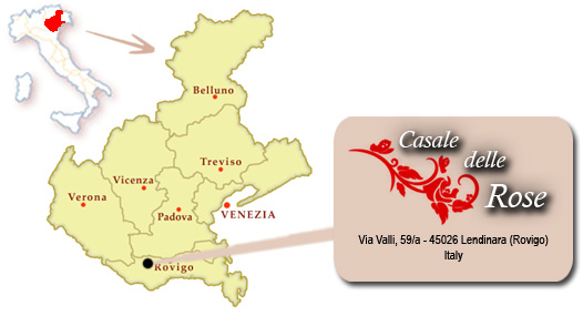 cartina Veneto